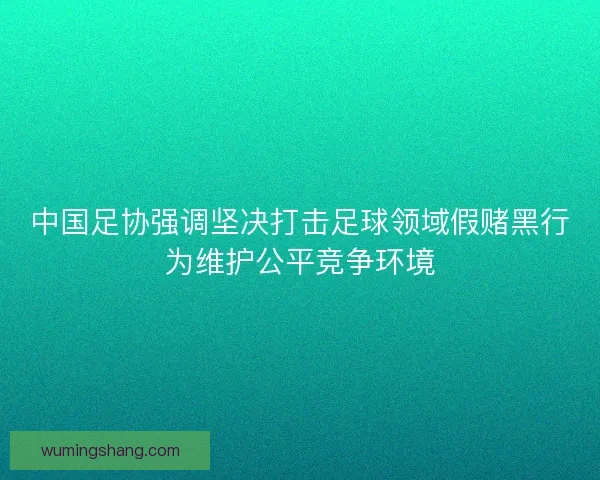 中国足协强调坚决打击足球领域假赌黑行为维护公平竞争环境