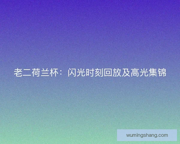 老二荷兰杯：闪光时刻回放及高光集锦
