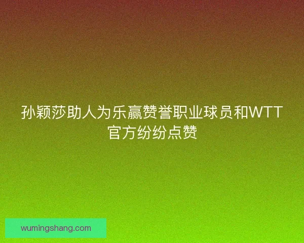 孙颖莎助人为乐赢赞誉职业球员和WTT官方纷纷点赞