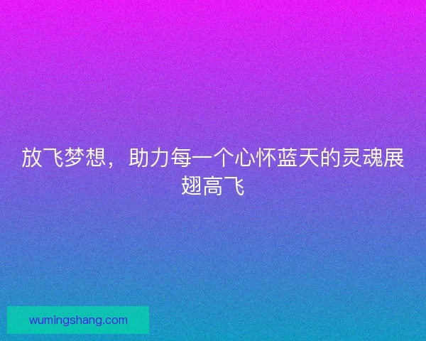 放飞梦想，助力每一个心怀蓝天的灵魂展翅高飞