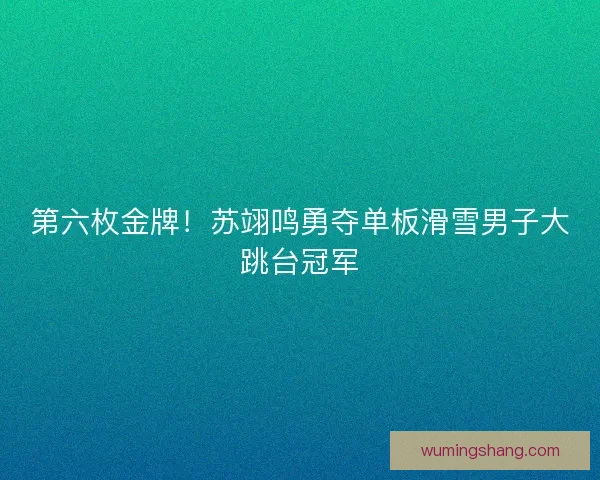 第六枚金牌！苏翊鸣勇夺单板滑雪男子大跳台冠军
