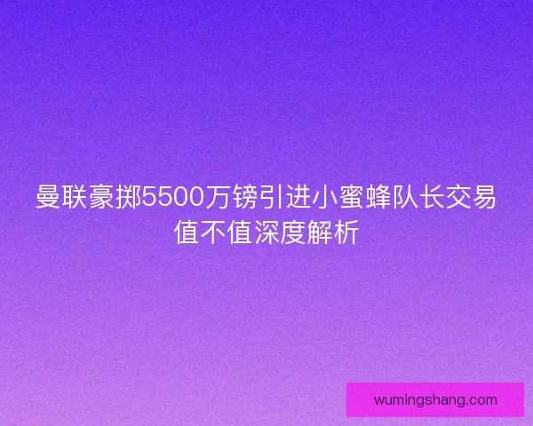 曼联豪掷5500万镑引进小蜜蜂队长交易值不值深度解析