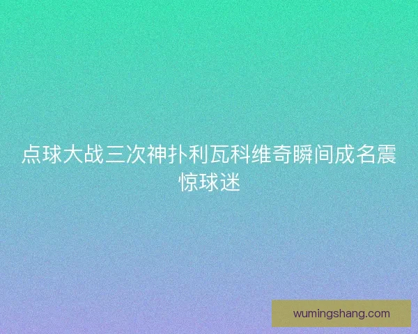 点球大战三次神扑利瓦科维奇瞬间成名震惊球迷